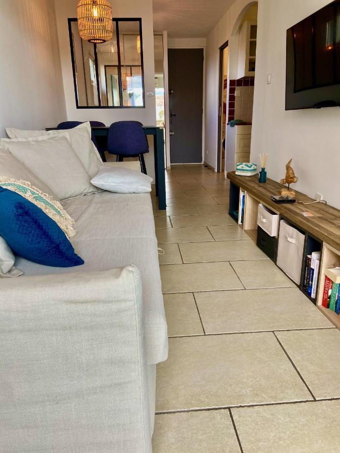 La Fregate - Appartement A 100 M De La Plage سا سيرْ سور مير المظهر الخارجي الصورة